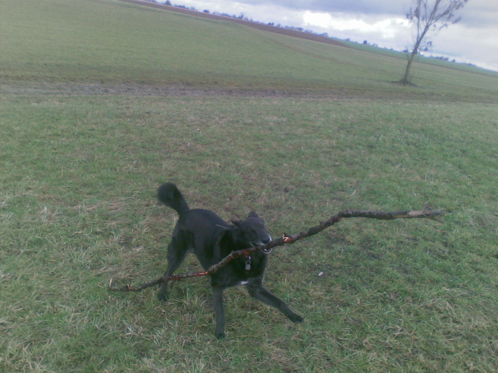 Ich bin stark!.jpg (1600 x 1200)